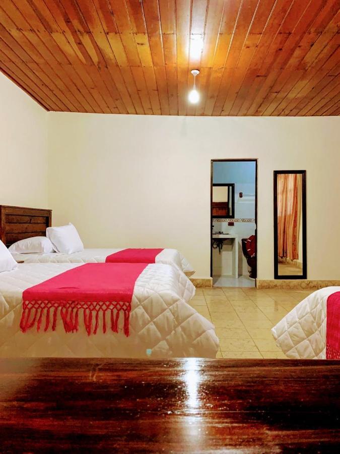 Hotel Casa D'Lina Centro San Cristóbal de Las Casas Dış mekan fotoğraf